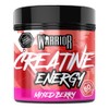 Warrior Creatine Monohydrate Powder + Energy 360g (80 Servings) –