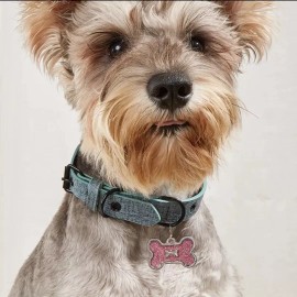 Pet Tags Metal Pet Tag With Pink Bone Shape For Dogs & Cats CUTE!