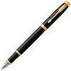 Parker GT 1975594 Fountain Pen, F Fine Point, IM, Core