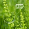 Organic Horsetail Extract 7500mg – 7% Silicia from High Strength