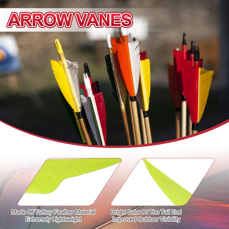 PATIKIL 4 Inch Arrow Vanes, 20 Pack Turkey Feather Fletching