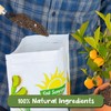 Citrus Tree Potting Soil Mix (12 Quarts), Special Blend for