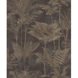 Rasch Kinabalu Black Rainforest