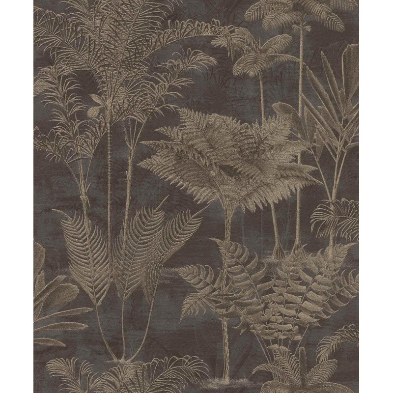 Rasch Kinabalu Black Rainforest