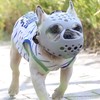 Dog Muzzle for Short Snout Dogs Breathable Holes Prevent Biting