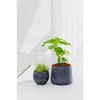 Petite Black Planter 6" H x 7" - Black Washed