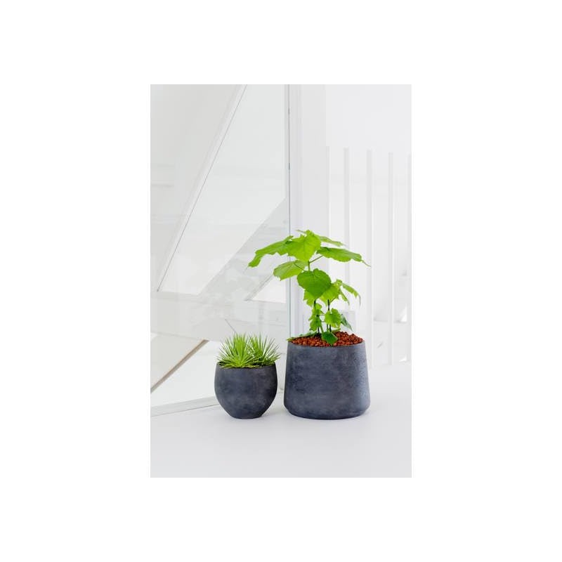 Petite Black Planter 6" H x 7" - Black Washed