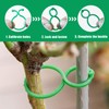 Feliciay Pack of 100 Plant Clips Attachment, Secured Plant Clip,