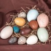 12PCS Portable Wood Simulation Eggs DIY Easter Egg for Home