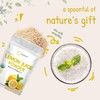 Micro Ingredients Organic Lemon Juice Powder 2 Pack | Cold-Pressed