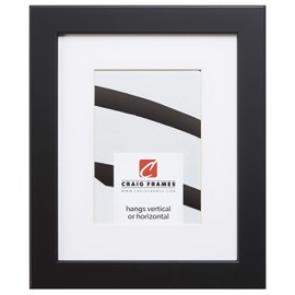 Craig Frames 26273 24 x 36 Inch Black Satin Picture Frame Matted to Display a 20 x 30 Inch Photo