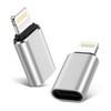 Type C to Lightning Adapter, Set of 2, Type C