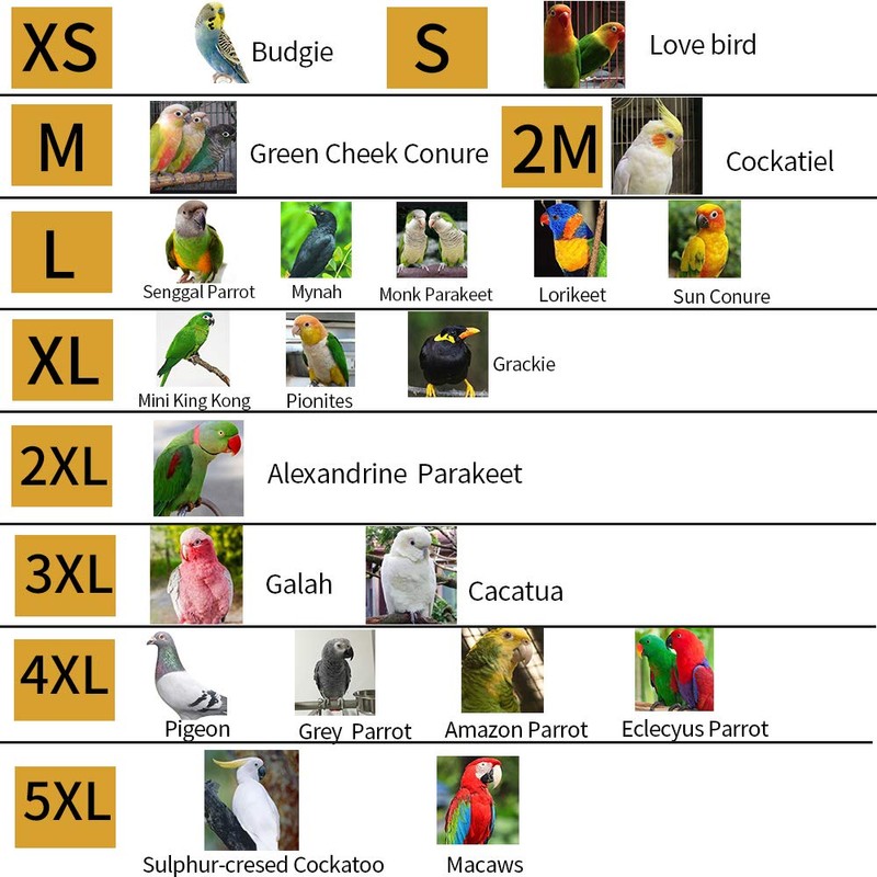 Adjustable Parrot Cone Collar, Safe and Practical Cotton Collar to