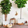 GARDIFE 12 inch Plant Pots, planters,Self Watering Pots, 2 Pack