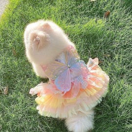 Anelekor Rainbow Butterfly Dog Dresses for Small Dog Girl Puppy Lace Tutu Princess Dress Cat Outfit Pet Butterfly Costume for Kitten Chihuahua Yorkie Pomeranian (Pink, X-Small)