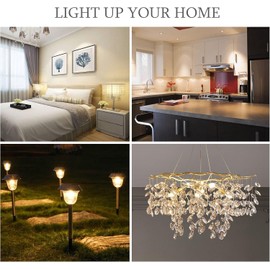 Diodesy- Low Voltage Landscape Replacement LED Light Bulb T5 Wedge Base Pack of 4 2.5W (20W Equivalent) 230LM 2700K Warm White for Pathway Garden Deck Walkway Lawn Camper Trailer Boat Dome UL Listed