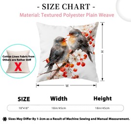 Doobicy Christmas Robin Bird Pillow Covers 18x18 Set of 2
