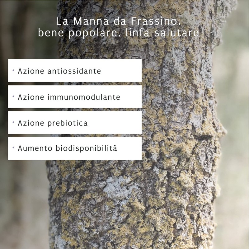 PHYSIOMANNA BABY con pura Manna da Frassino, camomilla, melissa e