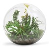 WGV Slant Cut Bowl Glass Vase, Width 9", Height 9",