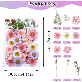 Flores Prensadas Secas para Resina, Bolsas de Flores Prensadas, Flores Secas Multiusos, Imitación de Flores Secas para DIY Resina Arte de Uñas Bodas álbumes de Recortes y más (Jardín Lolita)