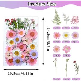 Flores Prensadas Secas para Resina, Bolsas de Flores Prensadas, Flores Secas Multiusos, Imitación de Flores Secas para DIY Resina Arte de Uñas Bodas álbumes de Recortes y más (Jardín Lolita)