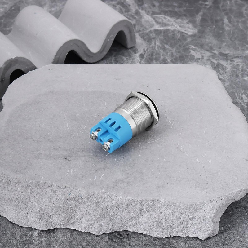 ECSiNG 2x12V 19mm Waterproof Flash Buzzer LED Flash Alarm Intermittent