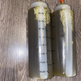 100% Pure hair growth fast oils 8 Oz Natural Organic Ingredients For All Hair Types