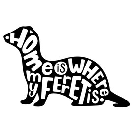 Dark Spark Decals Home is Where My Ferret is, Ferret Lover Decal - 10 Inch Full Color Vinyl Decal for Indoor or Outdoor use, Cars, Laptops, Décor, Windows, and More