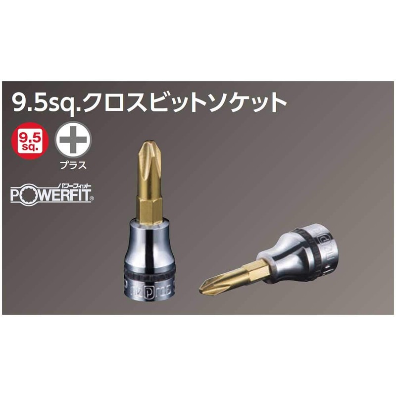 Nepros 3/8"sq. Closs Bit Socket Wrench