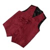 Alizeal Boys Classic Paisley Bow Tie and Suit Vest Set,