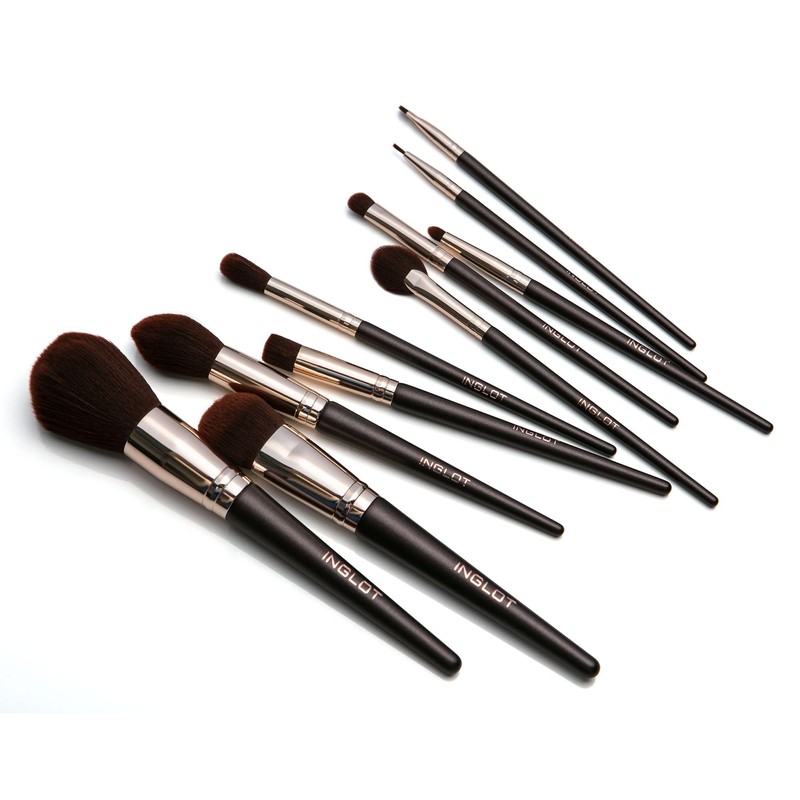 Ten Professional Makeup Brushes Set with Case and Pouch Soft