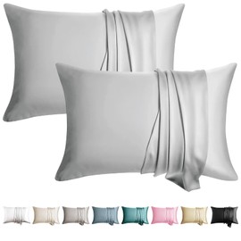 WLOSJ 100% Silk Pillowcase for Hair and Skin Toddler Size 2 Pack Mulberry Silk Pillow Case 14 x 19 Inches Highest 6A Silk Kids/Travel Pillow Cover Soft Breathable Cooling Hidden Zipper, Light Grey
