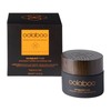 OOLABOO Saveguard Antioxidant Nutrition Recovering Mask, 50 ml