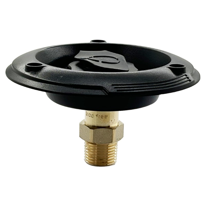 Lirinsegie RV City Water Inlet with Check Valve 3/4'' NH