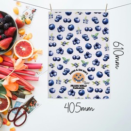 MNIGIU Vampire Show Inspired Damon's Prison Pancakes Kitchen Towel Kitchen Decor Housewarming Gift for Fans (Pancakes)