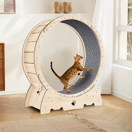 Cat Exercise Wheel, Cat Running Wheel with Carpeted Runway Indoor Cat Treadmill with Lock & Minimized Gapdesign