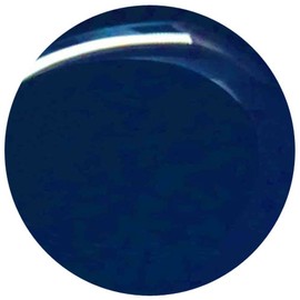 カラーシ゛ェルE-100テ゛ィーフ゜フ゛ルーシー