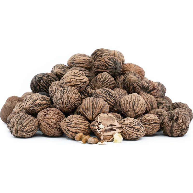 5 Black Walnut Tree Seeds , Juglans Nigra - Northern