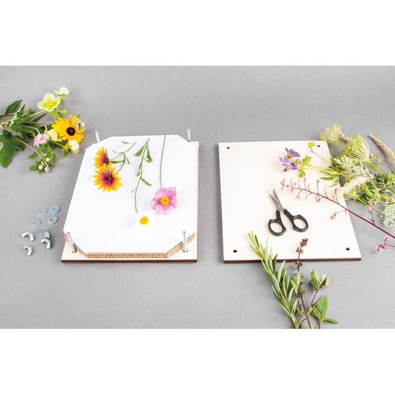 Rayher Flower Press, Natural, 21 x 30 cm, FSC Certified