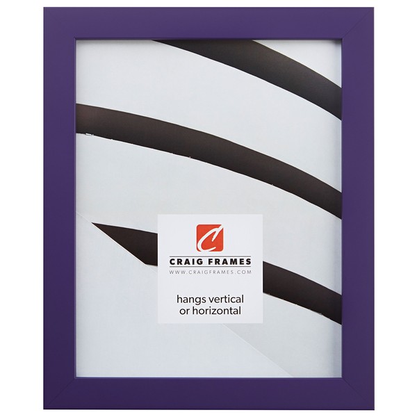 Craig Frames Confetti, Modern Purple Picture Frame, 13 x 19 Inch