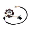 PRO BAT Full Electric Wiring Harness Wire Loom CDI Coil