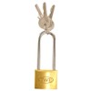 WAKI TWE Vine Length Cylinder Lock, 1.6 x 2.5 inches