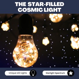 NorbSTAR Decorative LED Filament Bulbs, Star-Filled A19 LED Lights for Indoor & Outdoor, Energy-Efficient, Warm White, Perfect for Weddings, Events, Patios, Bedrooms & Ambient Lighting (4-Pack)