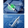 Ultrasonic Plaque Remover for Teeth - 42kHz Tartar Remover with