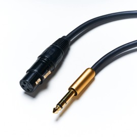 Cliche [Set of 2] 6.35mm TRS-XLR Canon Conversion Cable, 0.25 inch (6.35 mm) (1/4 Inch) Stereo (Male) to XLR (Female) XLR Converter Cable, 0.25 inches (6.35 mm) TRS to XLR (5m)
