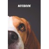 Beagle Notebook: blank lined composition journal | Beagle dog |
