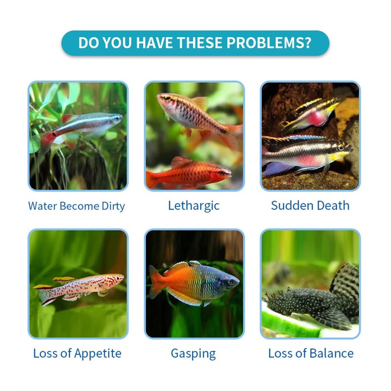 AIMALL Aquarium 7-in-1 Test Strips for Fish Tanks – Quick