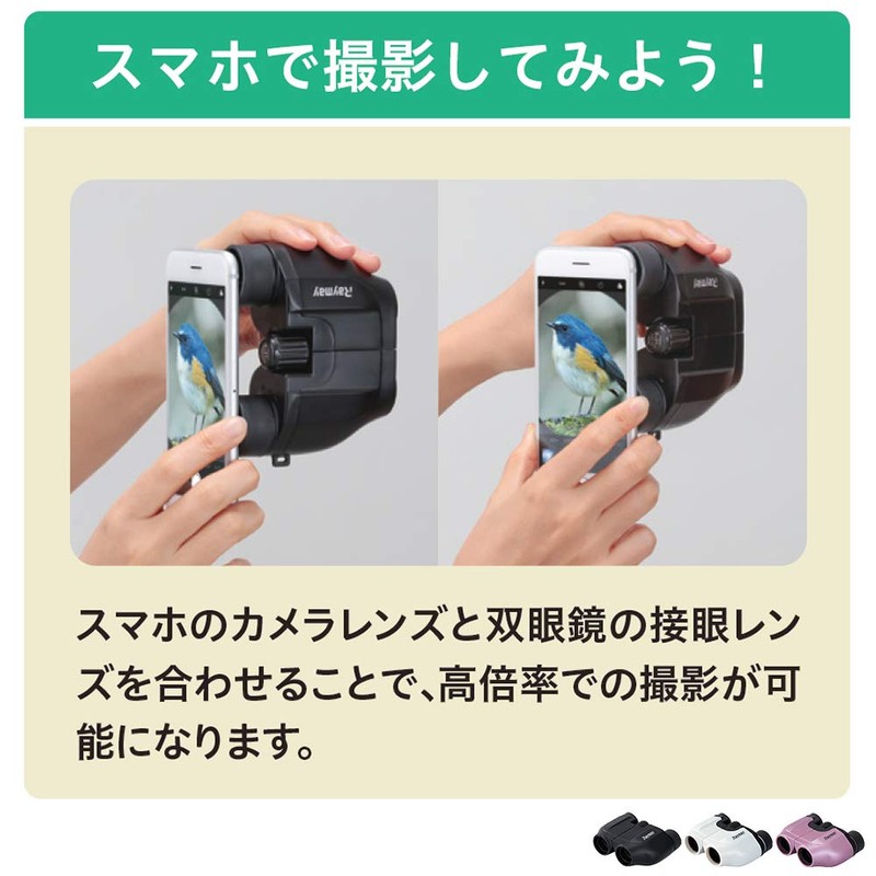 Raymei Fujii RXB309W Binoculars Polo Prism Compact 8x Objective Lens