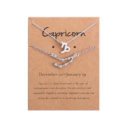 2Pcs 12 Constellation Zodiac Sign Layered Choker Necklaces Letter Astrology Horoscope with Message Card for Women Jewelry-Silver Capricorn