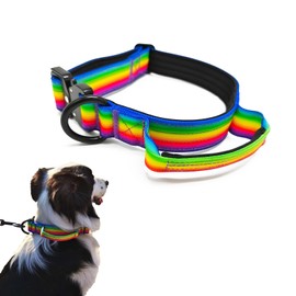Huali Tactical Dog Collar -Premium Quality Adjustable Heavy Duty Dog Coallr- Thick and Durable Dog Collar with Quick-Release Metal Buckle (L, Rainbow)